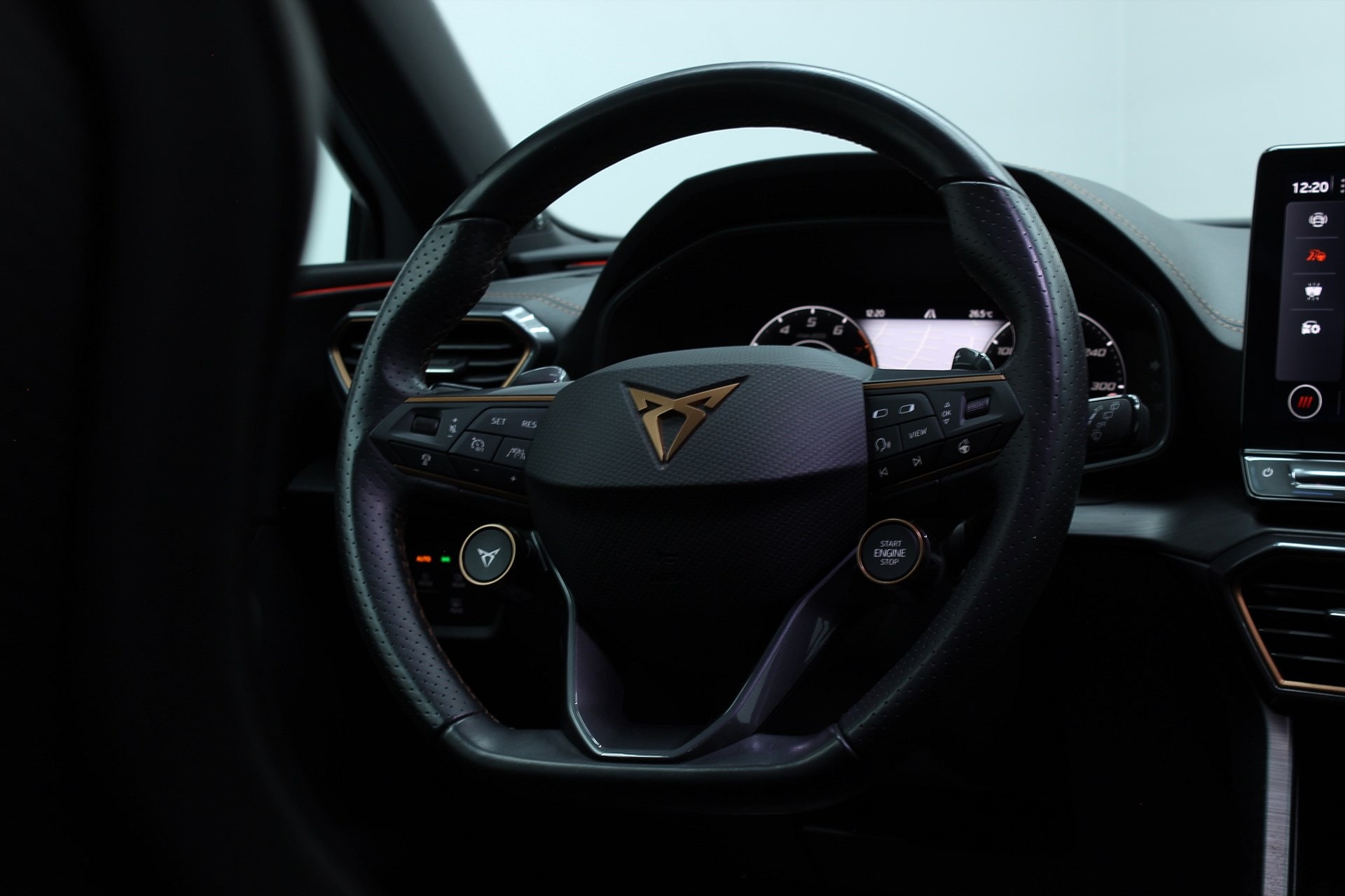 Cupra CUPRA - bild 29