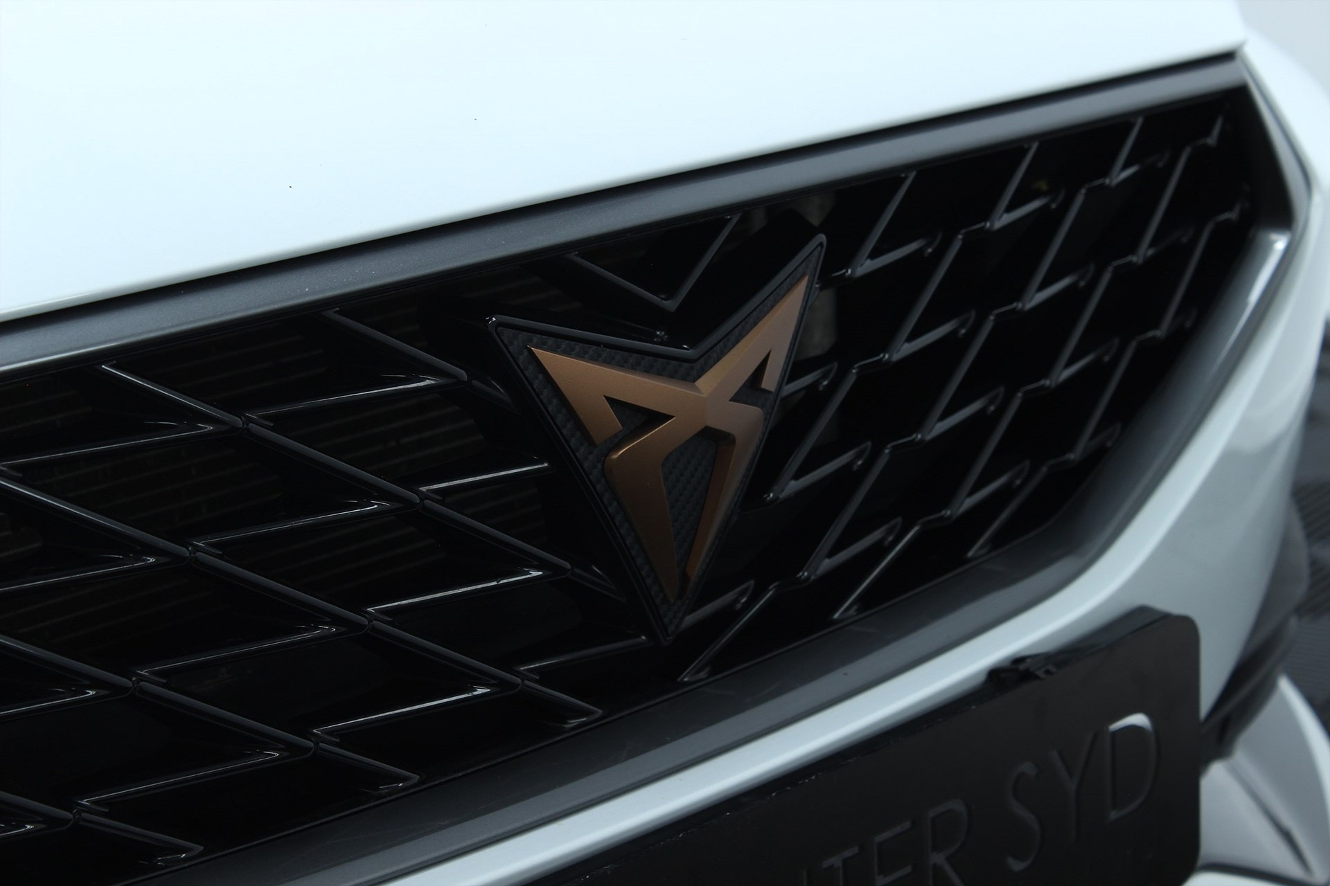 Cupra CUPRA - bild 4